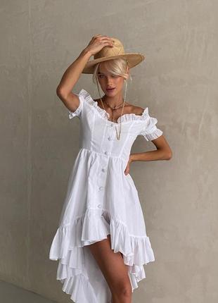 Неймовірна асиметрична скуня