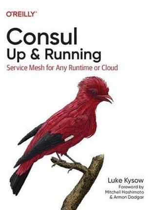 Consul: up & running: service mesh for any runtime or cloud, luke kysow