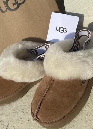 Тапули ugg3 фото