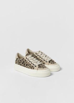 Кеды кроссовки zara