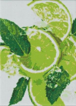 Алмазна мозаїка лаймовий фреш ідейка 30 х 40 amo7228