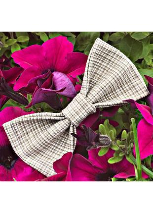 Бабочка галстук8 фото