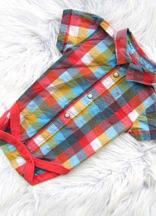 Боді сорочка з коротким рукавом marks & spencer