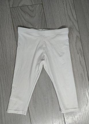 Леггинсы, лосины, бриджи