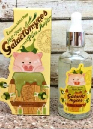 Ампульная сыворотка elizavecca galactomyces pure 100% 50 мл.