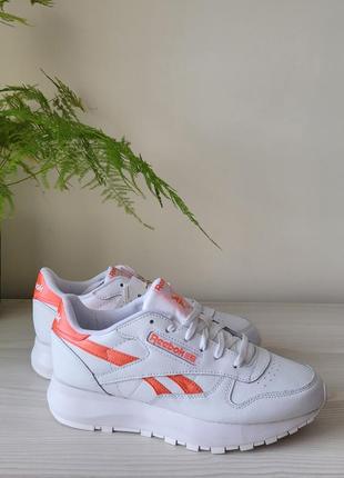 Кроссовки кожаные оригинал reebok classic gw3795 размер 39