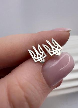 Серебряные патриотические серьги гвоздики герб