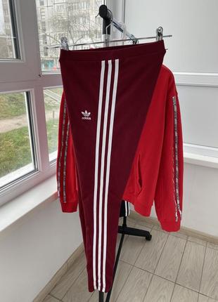 Лосини adidas2 фото