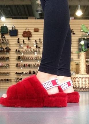 Босоножки тапочки женские ugg fluff yeah slide3 фото