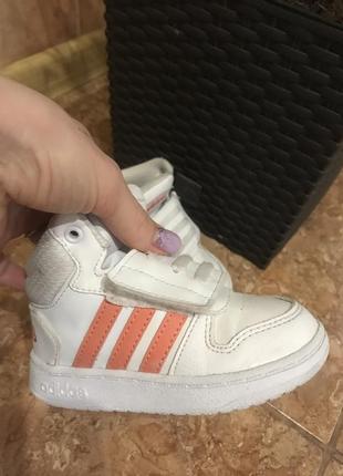 Хайтопи adidas