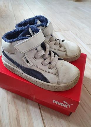 Puma хайтопи, високі кросівки на хутрі
