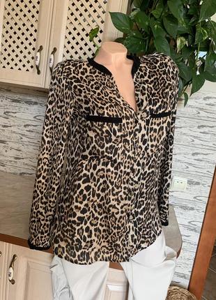 Блузка, блуза, сорочка zara рубашка