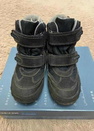 Черевики geox