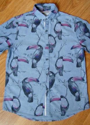 Рубаха next на 10 лет
