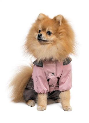 Дождевик для собак pet fashion ariel размер m, модель для девочки2 фото