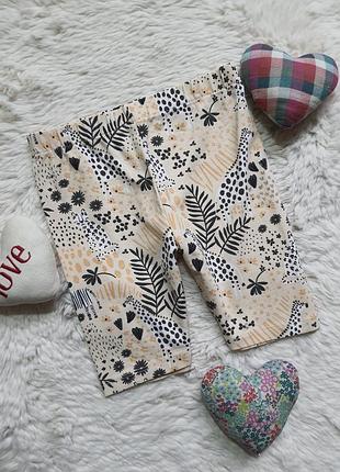 Шорты 3-4 года девушка