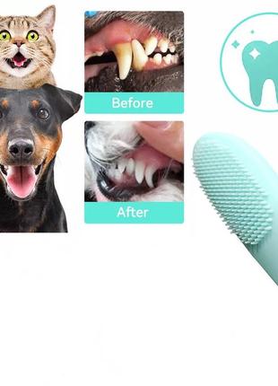 Зубні щітки на палець для собак і кішок, 1 штука trixie green1 фото