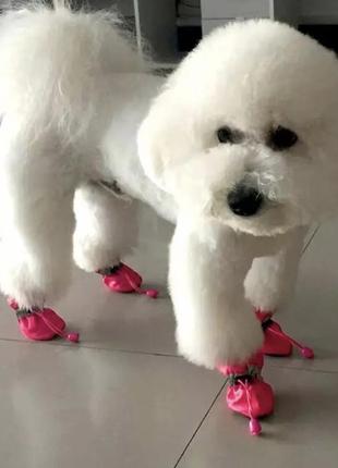 Обувь для собак "мешочки" pink size 36 фото