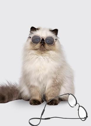 Солнцезащитные очки sunshine для кошек и собак black