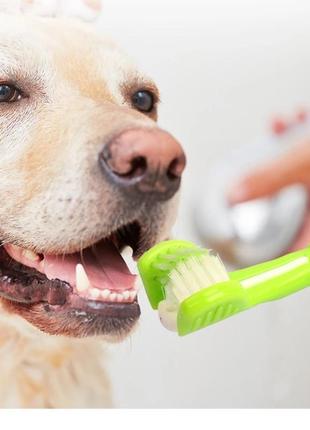 Зубна щітка для собак і кішок "professional" green