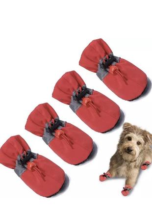 Обувь для собак "мешочки" red size 25 фото