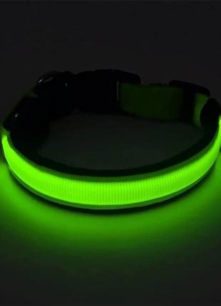 Ошейник led светящийся для собак и кошек green size s шея 34-41 см ширина 2,5 , полная длина 44 см4 фото