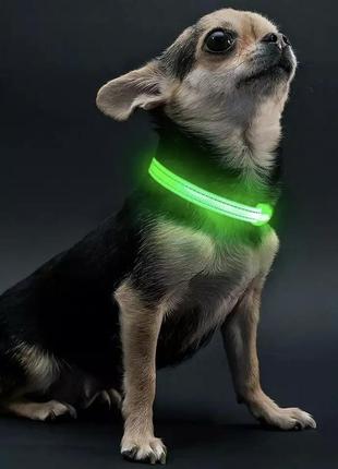 Нашийник led світний для собак і кішок green size s шия 34-41 см ширина 2,5, повна довжина 44 см