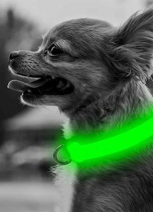 Ошейник led светящийся для собак и кошек green size s шея 34-41 см ширина 2,5 , полная длина 44 см3 фото