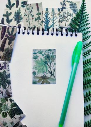 Набор #71 для скрапбукинга, картинки, изображения стикеры для ежедневников блокнота скетча записная книжка stickers