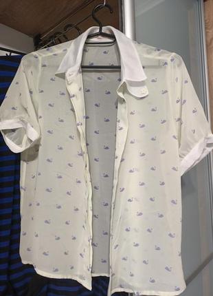 Нежная милая блузка рубашка лолита альт alt3 фото