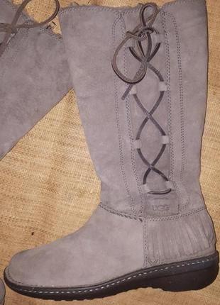 Сапоги ugg australia 2