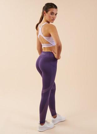 Спортивные леггинсы на высокой посадке sleek sculpture leggings gymshark /6835/6 фото