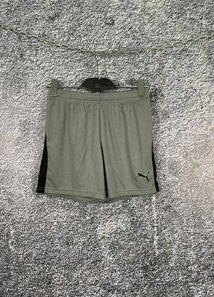 Мужские крутые оригинальные шорты puma размер s