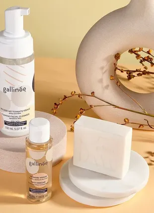 Gallinée – microbiome glow set