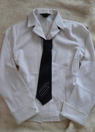 Діловий костюм (піджак+футболка+спідниця+краватка) kasider3 фото