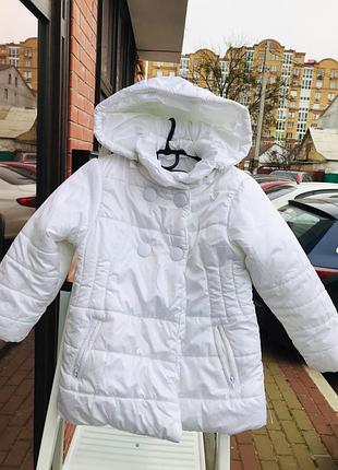 Фото 278 демисезонная курточка in extenso на 4 года