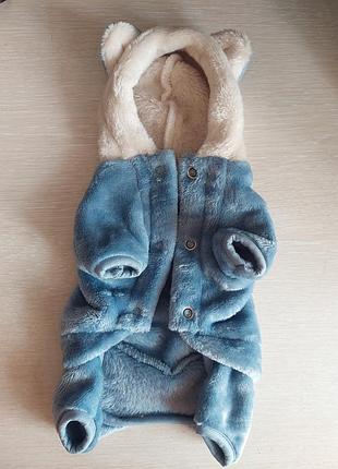 Велюровий костюм2 фото