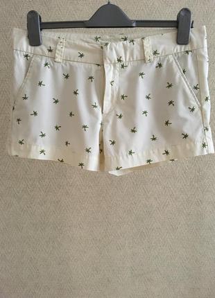 Шорты uniqlo