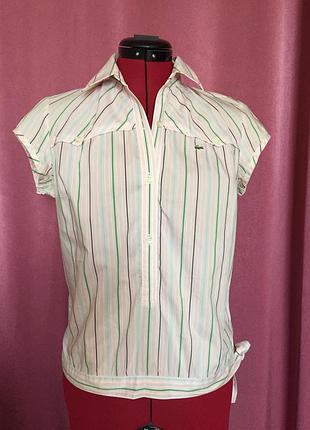 Сорочка lacoste (оригінал)