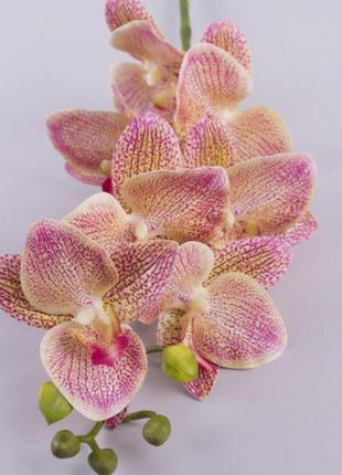 Орхидея латексная средняя.пастель.2 фото