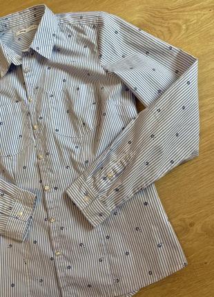 Рубашка нова рубашка в полоску блуза рубашка жіноча