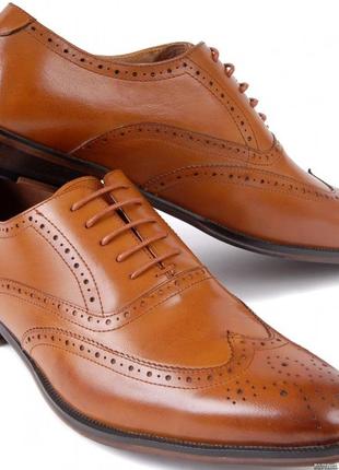 Кожаные туфли челси оксфорды коричневые броги из кожы ample 45 295мм2 фото