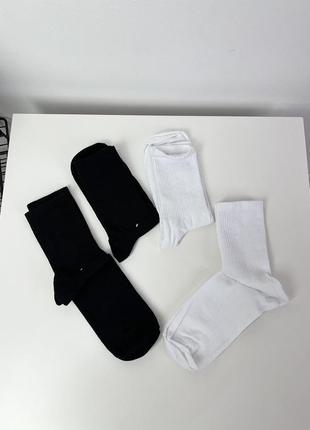 Носки base socks