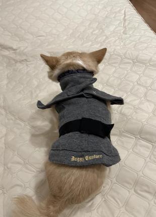 Пальто, пальто для собак маленьких пород doggy couture