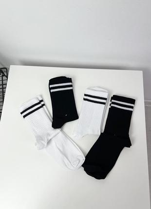 Шкарпетки base socks