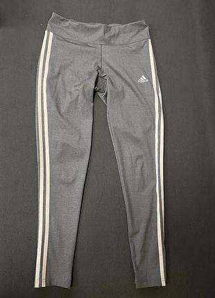 Лосины adidas2 фото
