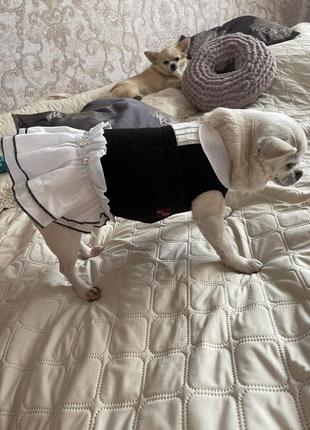 Платье, платье для собак маленьких пород pet fashion7 фото