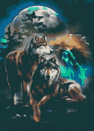Картина по номерам бланк rb - 0066 клан полной луны волки два влка волк в месяц1 фото