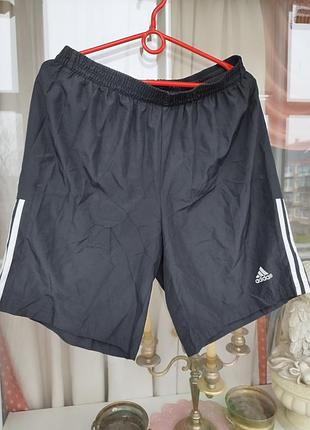 Шорты спортивные adidas