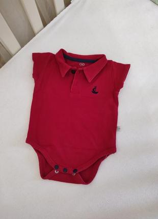 Боди поло